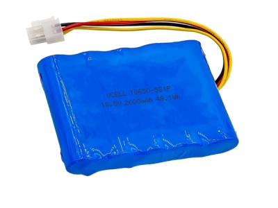 18.5V 2600mAh 5S1P 18650 Li-Ion Rechargeable Battery With PCM
