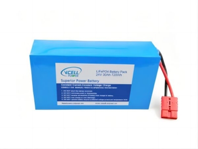 Deep Cycle 24V 30Ah 8S5P LiFePo4 Battery Pack For Electric Bike