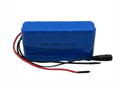  24V 5200mAh Rechargeable Lithium Ion Battery Pack