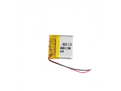 Small Size 3.7V 65mAh 301917 Lithium Polymer Battery For Portable Equipment