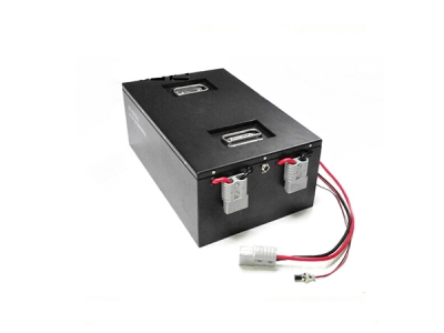 48V 40Ah LiFePO4 Battery Pack FoR AGV