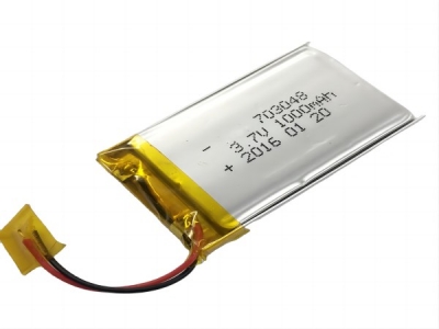 3.7V 1000mAh 703048 BIS Certified Li-Polymer Battery
